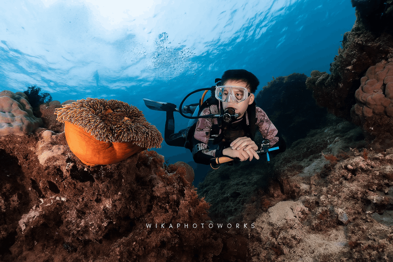 Dive Jakarta - iDiventure