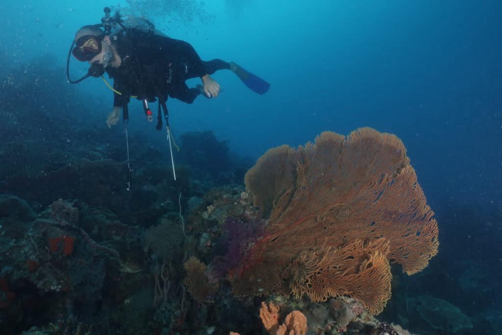 iDiventure
