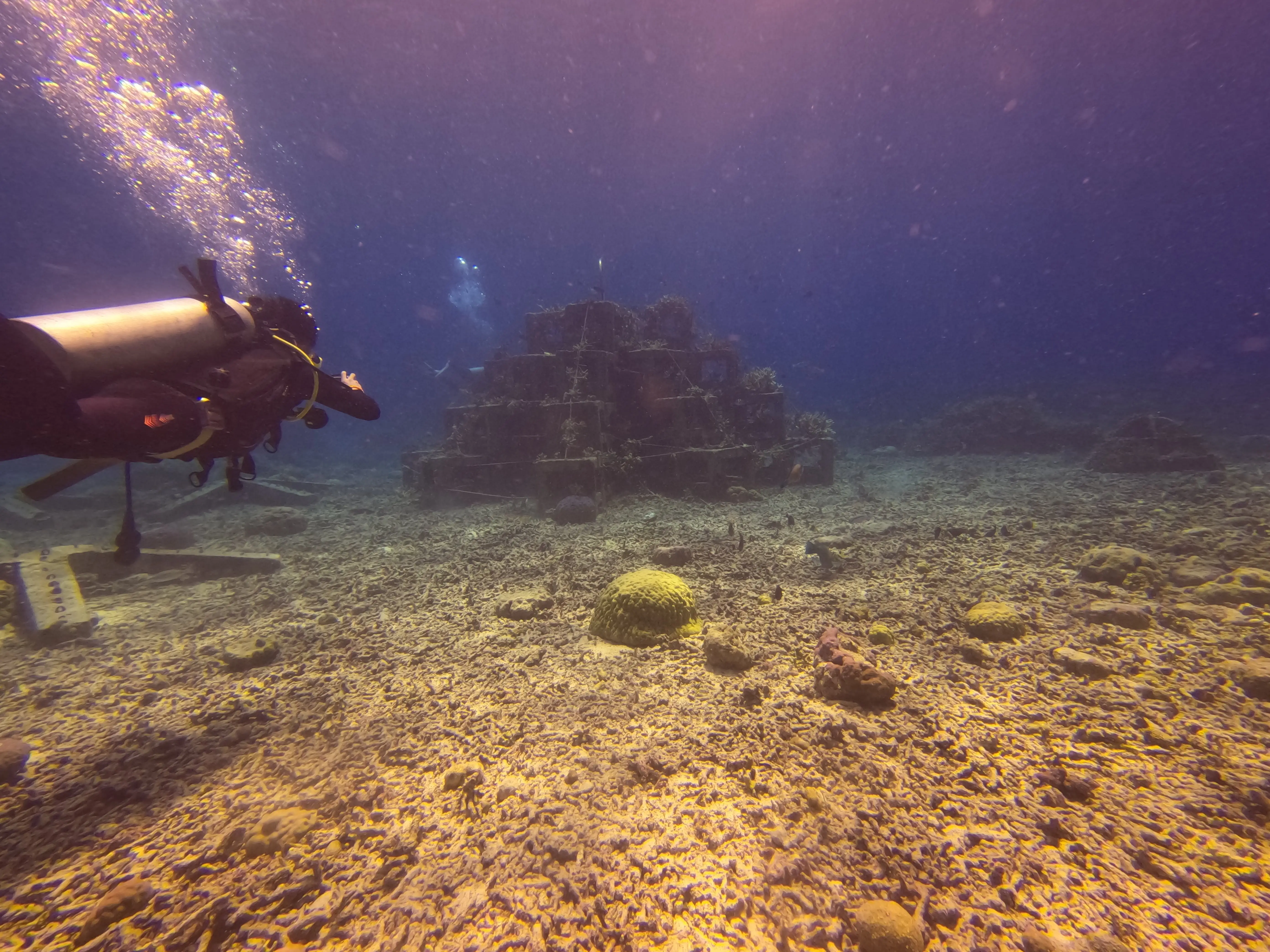 iDiventure - Manado dive trip