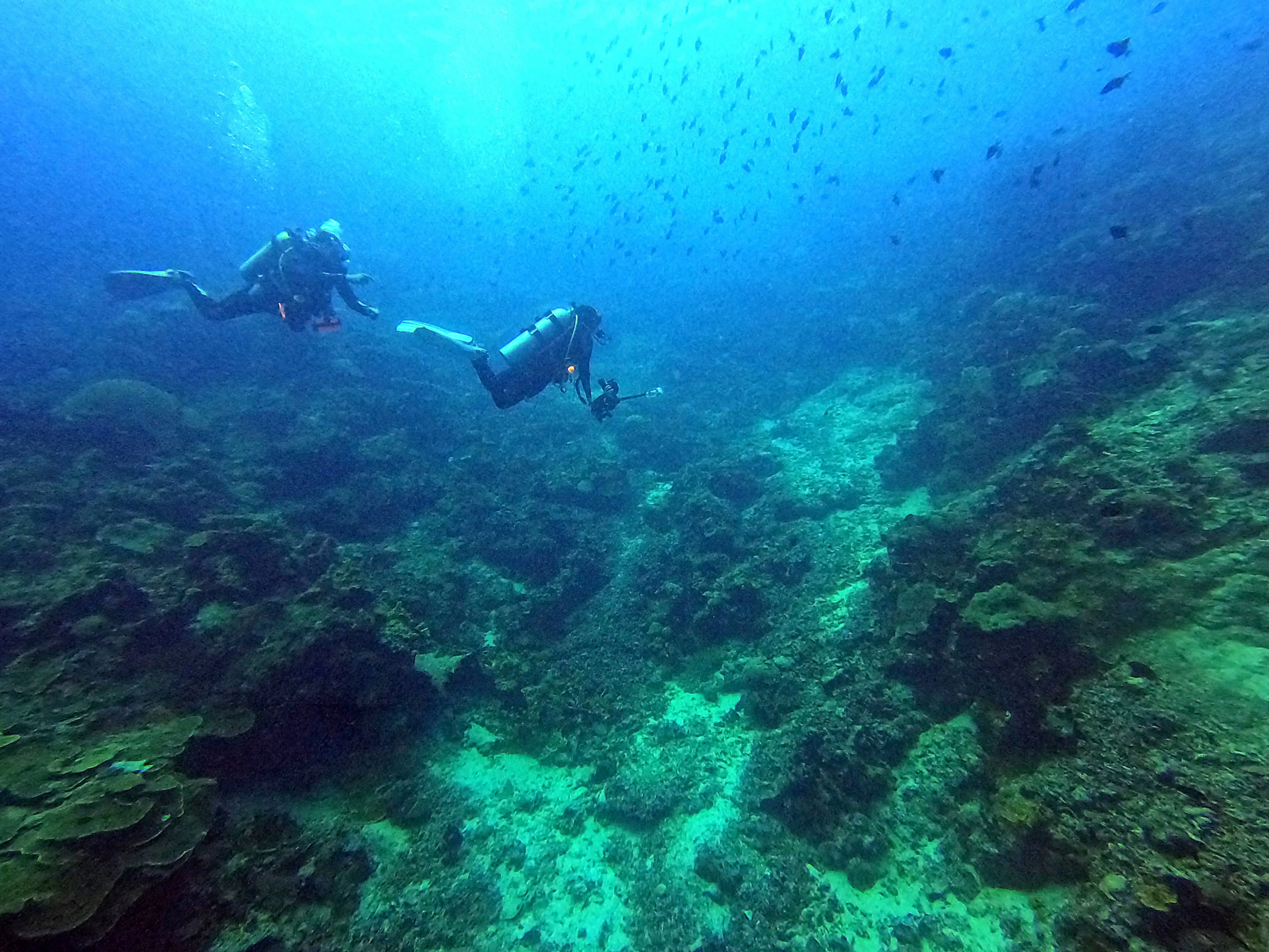 iDiventure - Manado dive trip