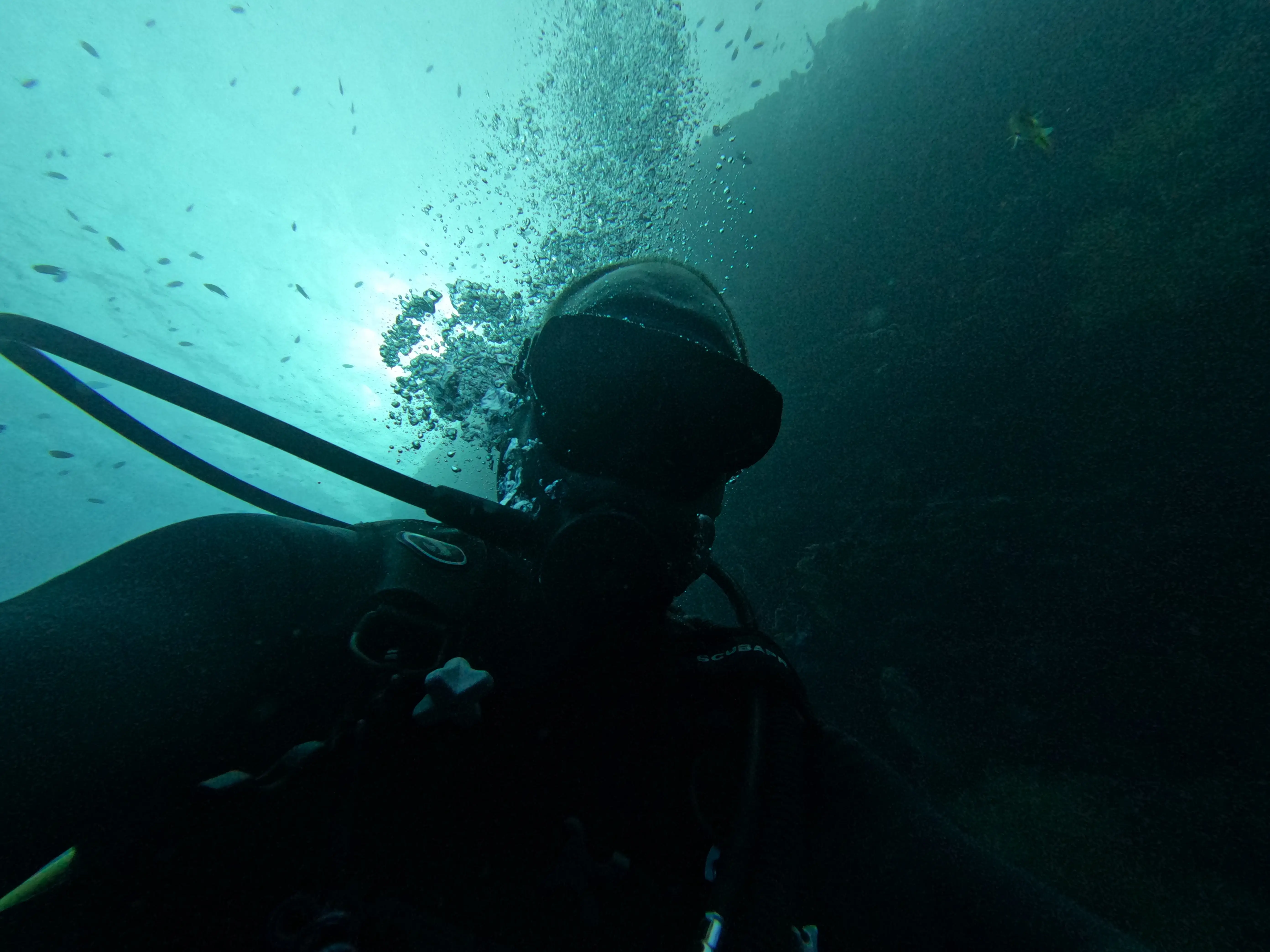iDiventure - Manado dive trip