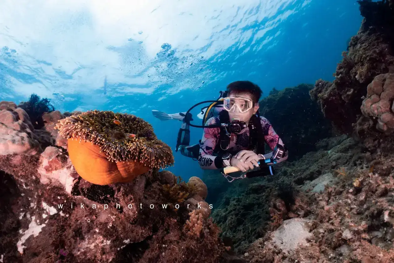 iDiventure