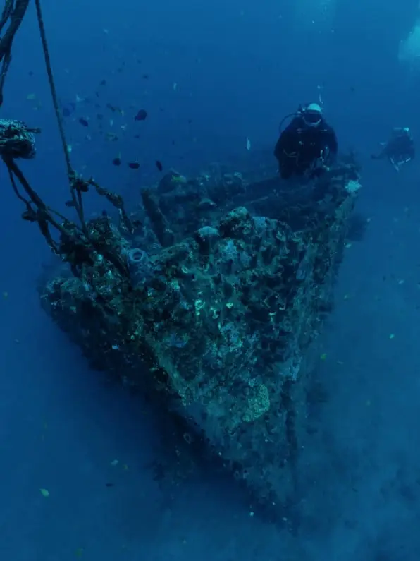 iDiventure - Manado dive trip